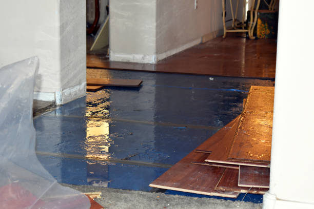 Professional Water Extraction technician working in Coloma, WI